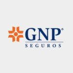 GNP